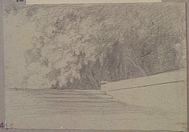 ROME, VILLA MEDICIS, ARBRES DU BOSCO DERRIERE L'ESCALIER DE PIERRE ET LA MURETTE-GARDE-CORPS_0