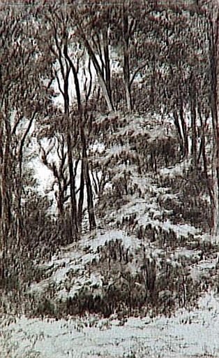 UN COIN DE FORET A BARBIZON_0