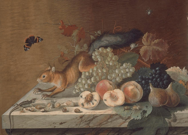 NATURE MORTE A L'ECUREUIL_0