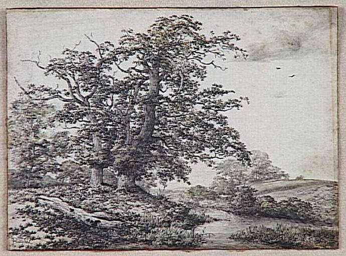 Les chênes au bord de l'eau ; Paysage (ancien titre)_0