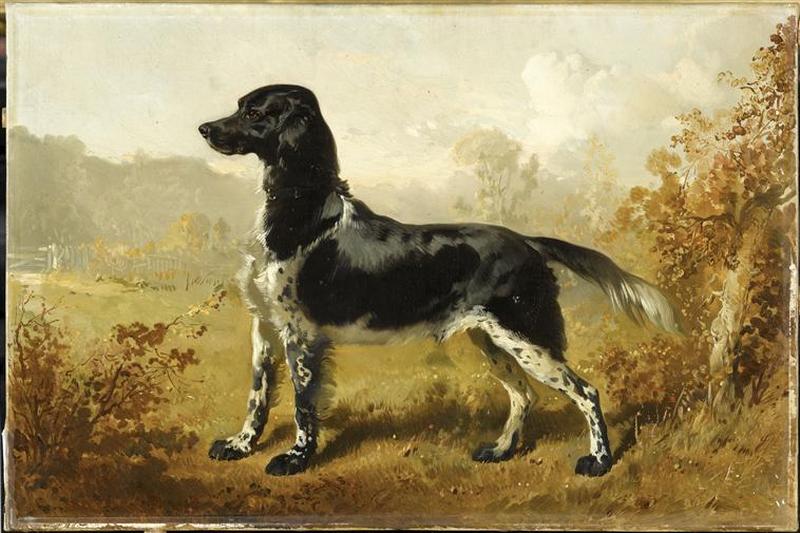 CHIEN DE M. LE DUC D'AUMALE_0