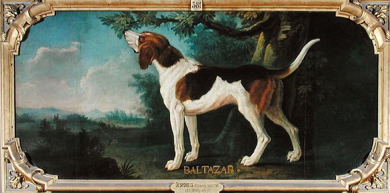 BALTAZAR_0