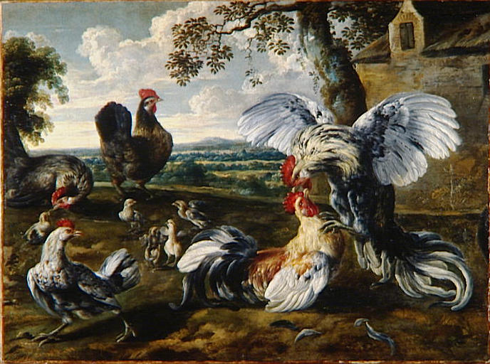 COMBAT DE COQS ET DE POULES_0