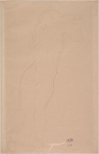 FEMME NUE DE DOS, AUX CHEVEUX DENOUES_0