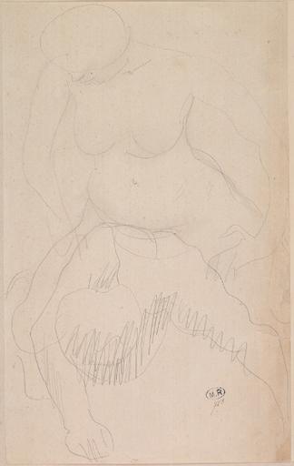 COUPLE SAPHIQUE : FEMME NUE A CALIFOURCHON SUR LE DOS D'UNE FEMME A QUATRE PATTES_0