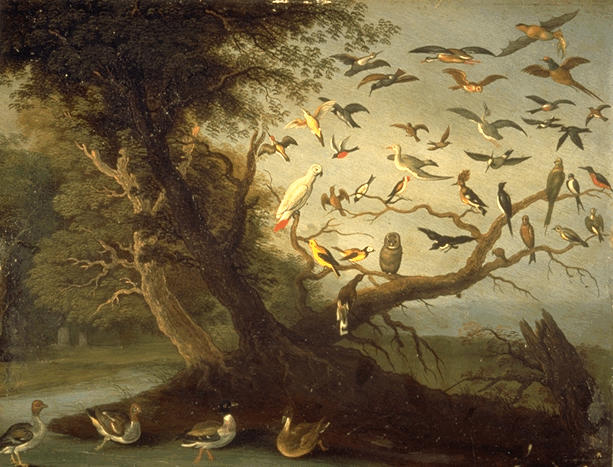 L'ARBRE AUX OISEAUX_0