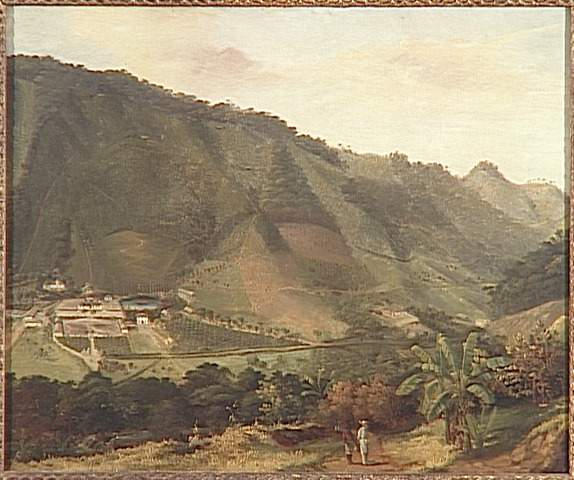 Paysage de la Martinique_0