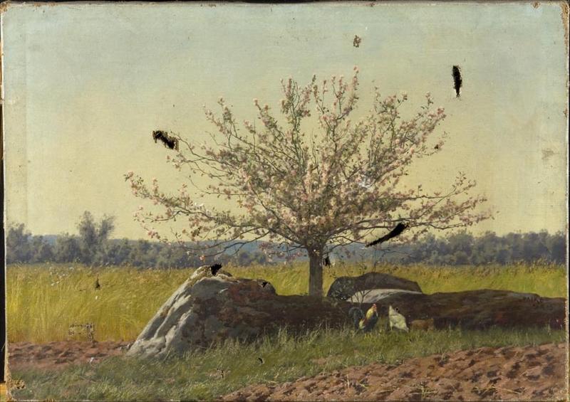 Pommiers en fleurs_0