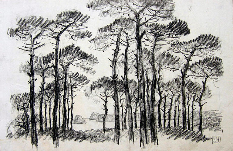 Les pins [titre attribué]_0