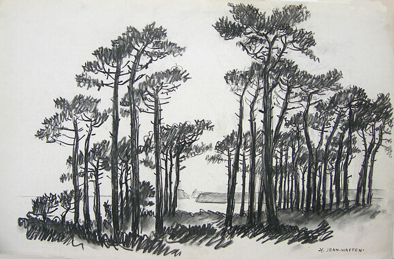 Les pins de la rade de Brest [titre attribué]_0