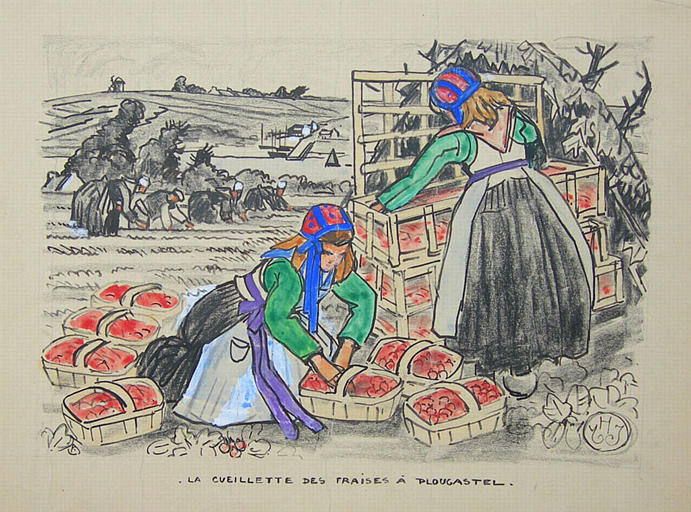 Le rangement des paniers de fraises (titre inscrit, projet)_0
