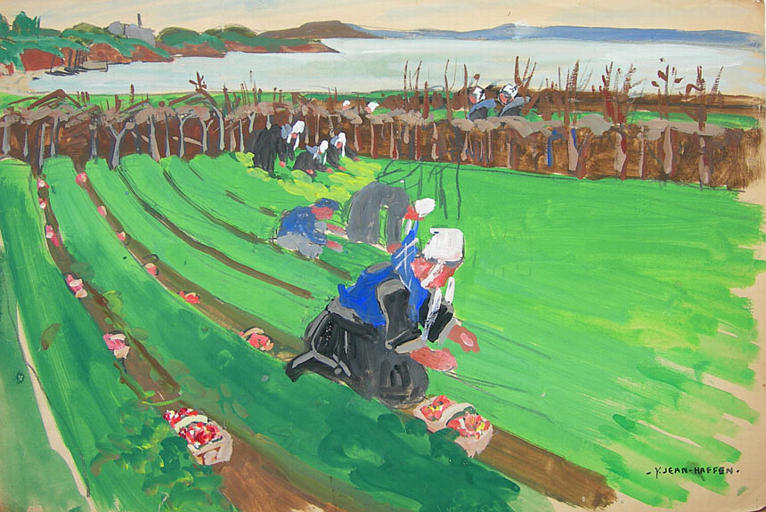 Dans les champs de fraises [titre attribué]_0