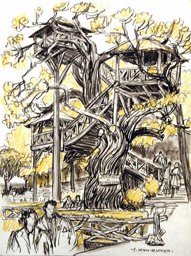 Le Vrai arbre de Robinson [titre attribué]_0