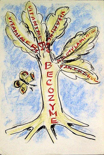 L'arbre de Bécozyme [titre attribué]_0