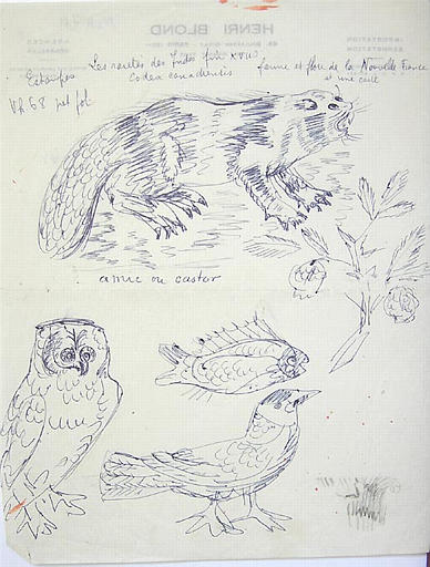 Animaux des Indes, fin XVIIe [titre attribué]_0