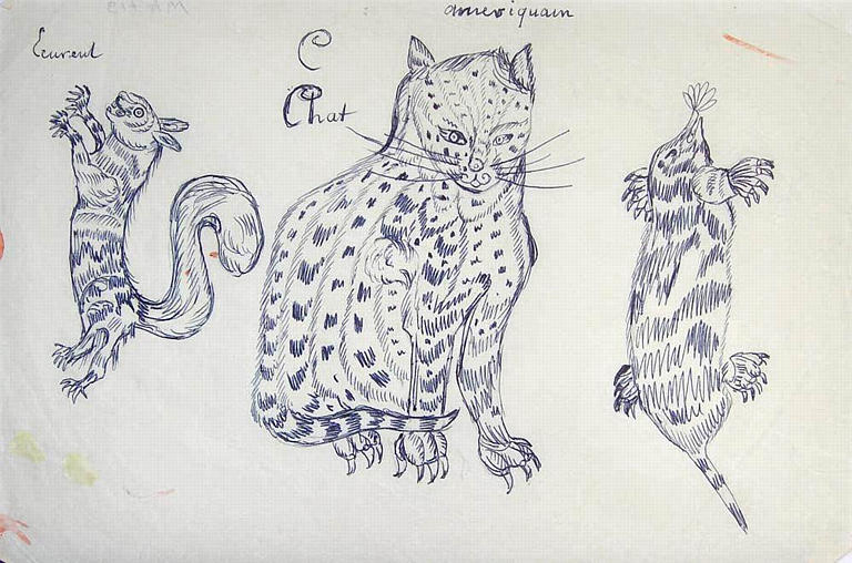 Trois animaux canadiens copie d'estampe [titre attribué]_0