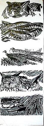 Chats, serpents et autres animaux [titre attribué]_0