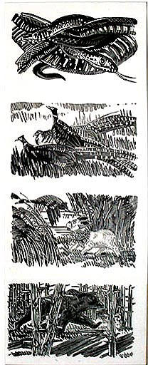 Serpents, faisans, chien et ours [titre attribué]_0