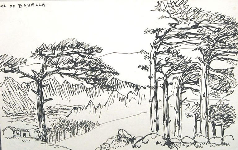 Les pins du col de Bavella (croquis) [titre attribué]_0