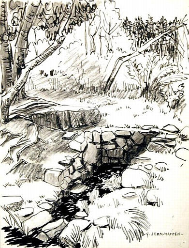 Forêt de Paimpont : la fontaine de Barenton [titre attribué]_0