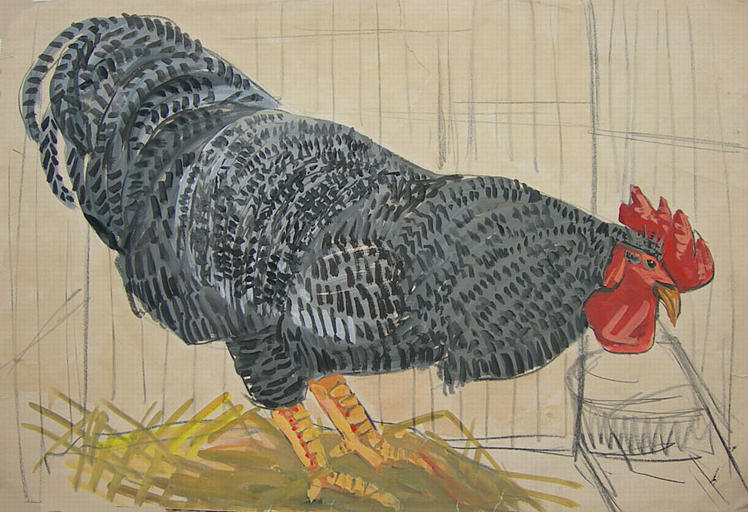 Coq de Barbarie (étude) [titre attribué]_0