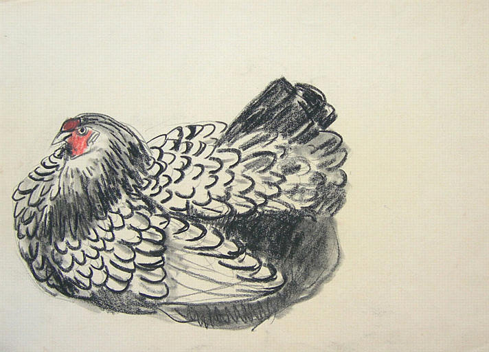 Poule pondeuse sur son nid (étude) [titre attribué]_0