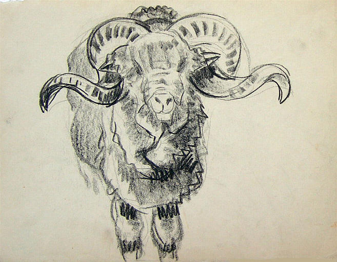 Regard de bélier (étude) [titre attribué]_0