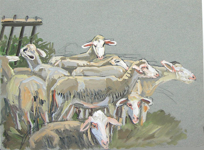 Mouton après la tonte (étude) [titre attribué]_0