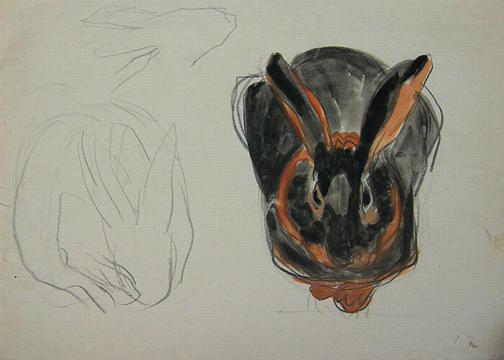 Lapin noir et fauve : pattes ramassées (étude) [titre attribué]_0