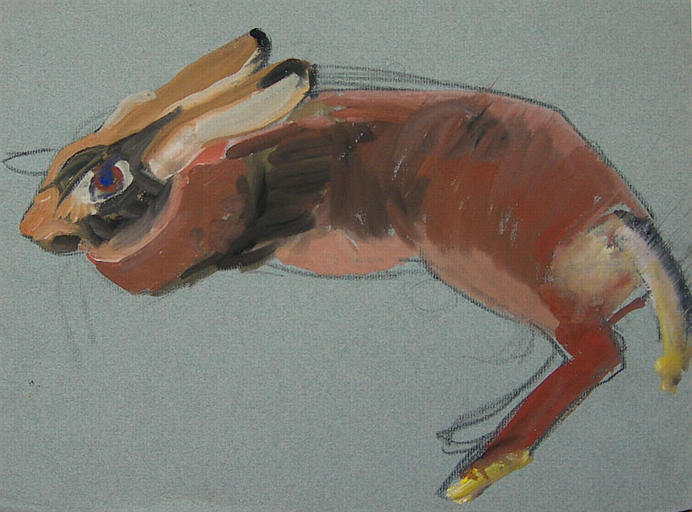 Lapin étendu (étude) [titre attribué]_0