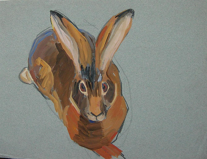 Regard de lapin (étude) [titre attribué]_0