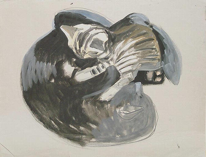 Chat couché en rond (étude) [titre attribué]_0
