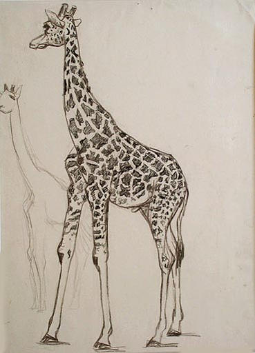 Girafe noire tachetée (étude) [titre attribué]_0