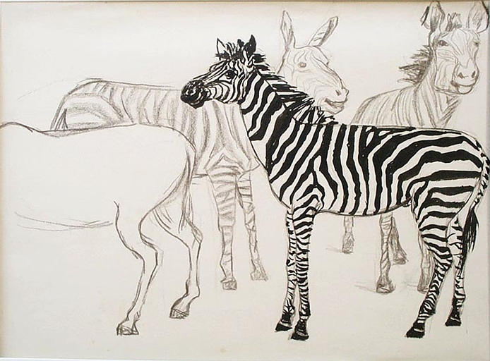 Zèbres au zoo (étude) [titre attribué]_0