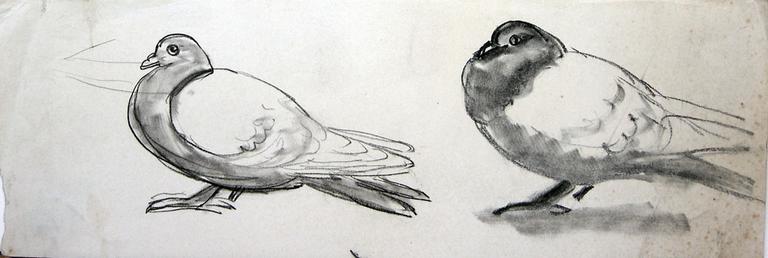 Deux pigeons communs (étude) [titre attribué]_0