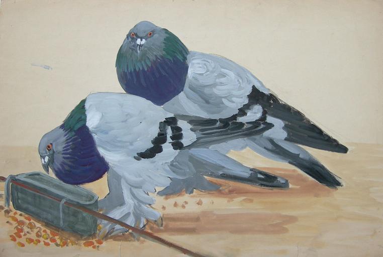 Deux pigeons à la mangeoire [titre attribué]_0