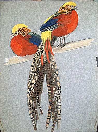 Faisans flamboyants sur leur perchoir (étude) [titre attribué]_0