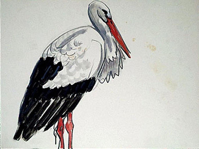 La cigogne (étude) [titre attribué]_0