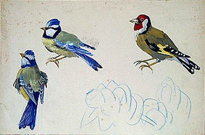 Deux mésanges et un chardonneret (études) [titre attribué]_0