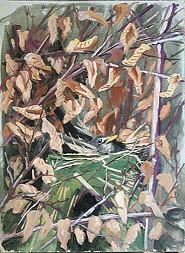 Oiseau au milieu des feuilles [titre attribué]_0