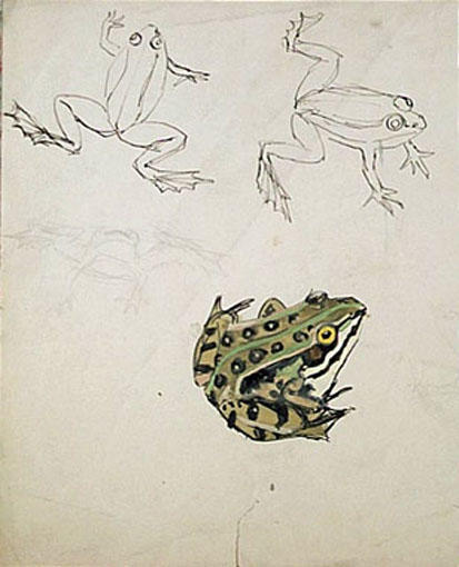 Trois grenouilles dont une en couleur (étude) [titre attribué]_0
