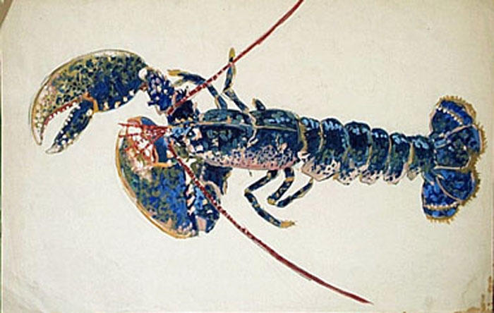 Homard bleu (étude) [titre attribué]_0