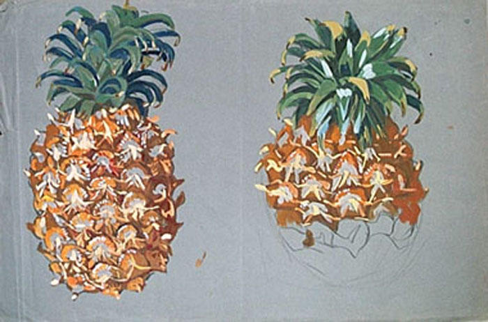Ananas (étude) [titre attribué]_0