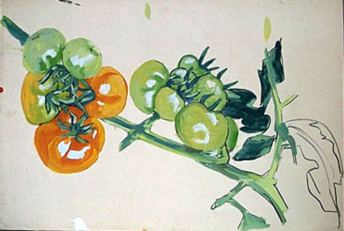 Etude de tomates [titre attribué]_0
