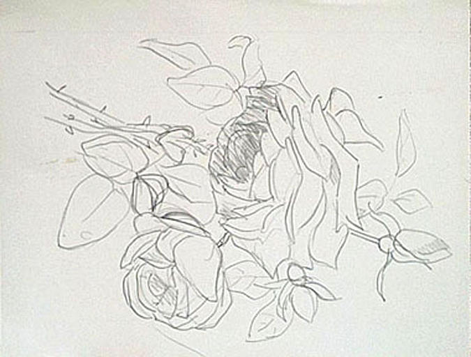 Etude de roses [titre attribué]_0