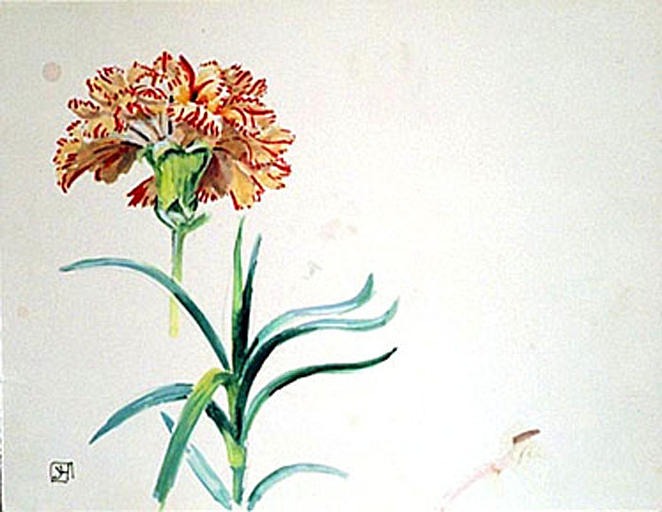 Fleur et feuille d'oeillet panaché (étude) [titre attribué]_0