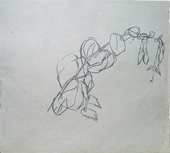 Géraniums en pot (étude) ; au verso esquisse de fuchsia [titre attribué]_1