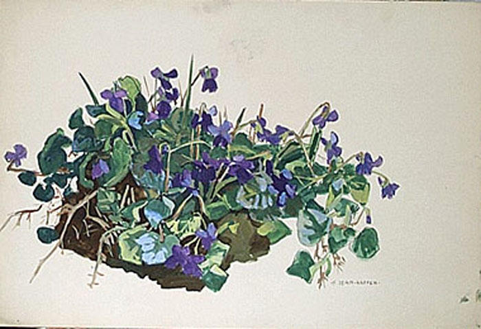 Violettes et mottes de terre [titre attribué]_0