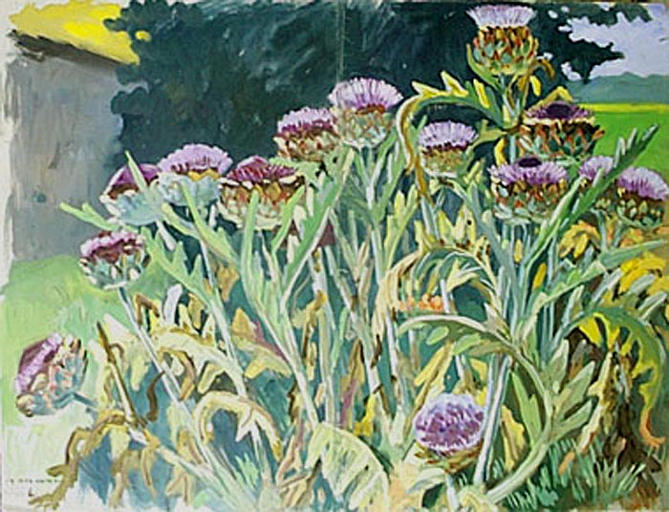 Artichauts en fleurs (étude) [titre attribué]_0