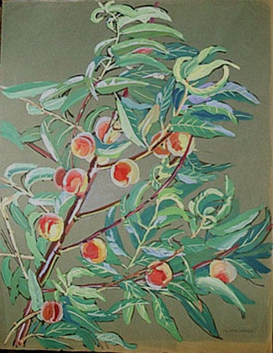 Pêches sur l'arbre (étude) [titre attribué]_0
